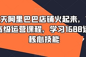 90天阿里巴巴店铺火起来,1688高级运营课程,学习1688运营核心技能