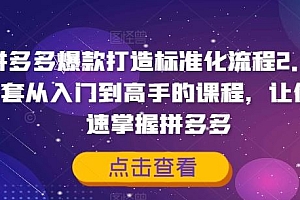 拼多多爆款打造标准化流程2.0,一套从入门到高手的课程,让你快速掌握拼多多