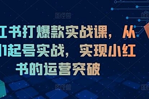 小红书打爆款实战课,从0到1起号实战,实现小红书的运营突破