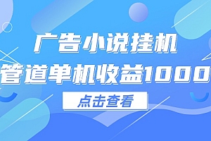 (12198期)广告小说挂机管道单机收益1000+