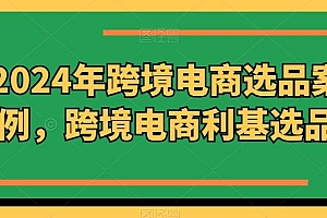2024年跨境电商选品案例,跨境电商利基选品(更新)