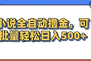 (12244期)小说全自动撸金,可批量日入500+