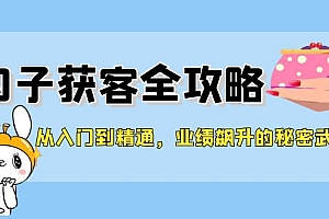 (12247期)从入门到精通,勾子获客全攻略,业绩飙升的秘密武器