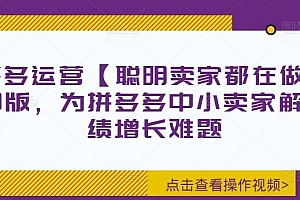 拼多多运营【聪明卖家都在做】无水印版,为拼多多中小卖家解决业绩增长难题