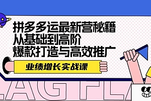 (12260期)拼多多运最新营秘籍:业绩 增长实战课,从基础到高阶,爆款打造与高效推广