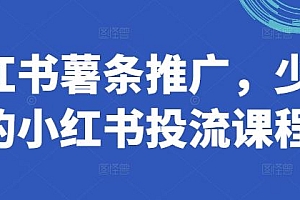 小红书薯条推广,少有的小红书投流课程