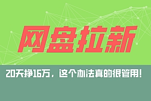 (12294期)网盘拉新+私域运营玩法,零基础入门,小白可操作,当天见效,日入5000+