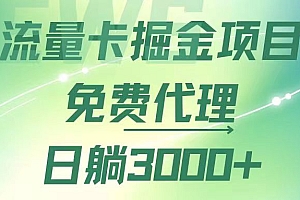 (12321期)流量卡掘金代理,日躺赚3000+,变现暴力,多种推广途径