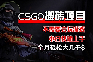 (12332期)CSGO 装备搬砖项目,操作简单,不需要会玩游戏,小白也能快速上手,一…