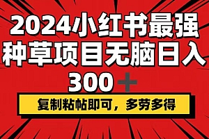 (12336期)2024小红书最强种草项目,无脑日入300+,复制粘帖即可,多劳多得