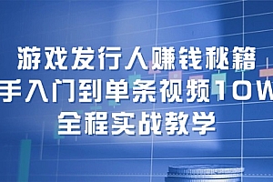 (12336期)游戏发行人赚钱秘籍:新手入门到单条视频10W+,全程实战教学