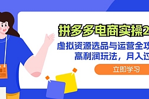(12360期)拼多多电商实操2.0:虚拟资源选品与运营全攻略,高利润玩法,月入过万