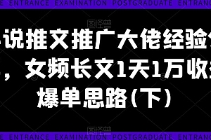 小说推文推广大佬经验分享,女频长文1天1万收益爆单思路(下)