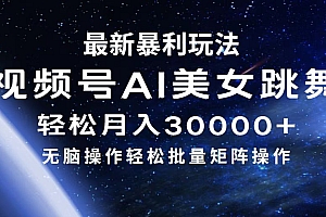 (12377期)最新暴利玩法视频号AI美女,简单矩阵轻松月入30000+