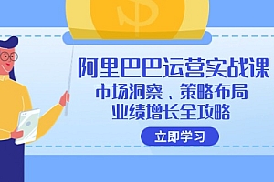 (12385期)阿里巴巴运营实战课:市场洞察、策略布局、业绩增长全攻略