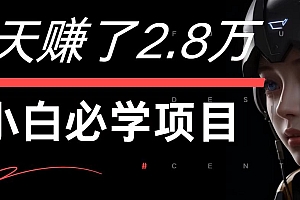 7天赚了2.8万!每单利润最少500+,轻松月入7万+小白有手就行