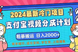 (12407期)2024最新冷门项目!支付宝视频分成计划,直接粗暴搬运,日入2000+,有…