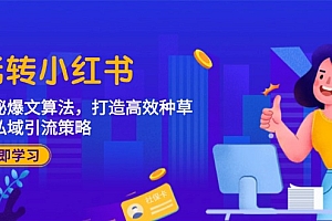 玩转小红书:揭秘爆文算法,打造高效种草与私域引流策略