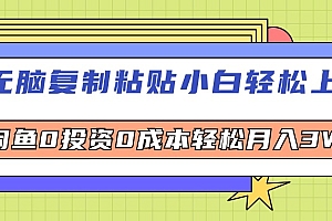 (12431期)无脑复制粘贴,小白轻松上手,电商0投资0成本轻松月入3W+