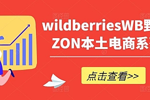 wildberriesWB野莓/OZON本土电商系列课,掌握WB产品优化,出单技巧和订单处理等