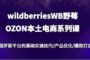 wildberriesWB野莓/OZON本土电商系列课,俄罗斯平台的基础实操技巧/产品优化/爆款打造