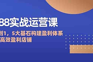 1688实战运营课:从0到1,5大基石构建盈利体系,打造高效盈利店铺