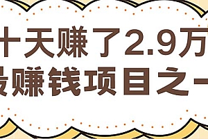(12491期)闲鱼小红书赚钱项目之一,轻松月入6万+项目