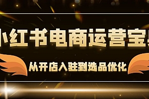 (12497期)小红书电商运营宝典:从开店入驻到选品优化,一站式解决你的电商难题