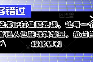 逆袭IP打造陪跑课,让每一个普通人也能玩转流量,抢占自媒体福利