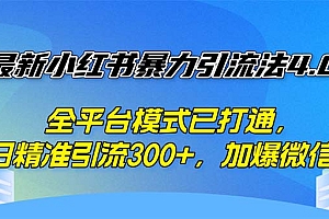 (12505期)最新小红书暴力引流法4.0, 全平台模式已打通,日精准引流300+,加爆微…