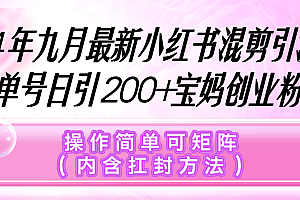 (12530期)小红书混剪引流,单号日引200+宝妈创业粉,操作简单可矩阵(内含扛封…