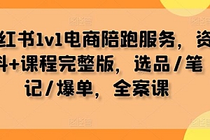 小红书1v1电商陪跑服务,资料+课程完整版,选品/笔记/爆单,全案课