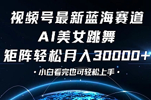 (12594期)视频号最新蓝海赛道,小白也能轻松月入30000+