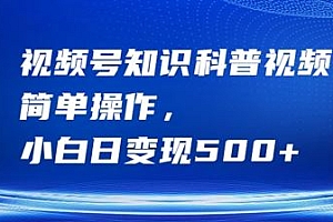 视频号知识科普视频,简单操作,小白日变现500+【揭秘】