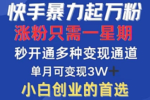 (12651期)快手暴力起万粉,涨粉只需一星期,多种变现模式,直接秒开万合,小白创…