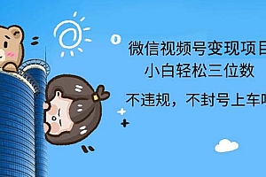 (12660期)2024最新微信视频号,0撸项目,自己玩,小白轻松日入三位数