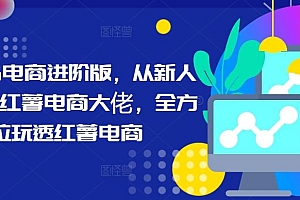 小红书电商进阶版,从新人进阶小红薯电商大佬,全方位玩透红薯电商