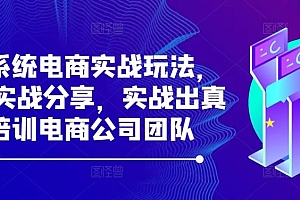 最新系统电商实战玩法,31天实战分享,实战出真知,培训电商公司团队