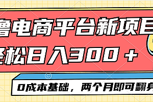 (12685期)电商平台新赛道变现项目小白轻松日入300+0成本基础两个月即可翻身