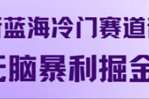 最新蓝海冷门赛道音频,无脑暴利掘金