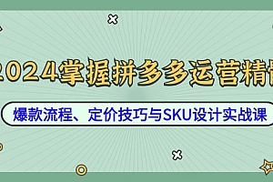 (12703期)2024掌握拼多多运营精髓:爆款流程、定价技巧与SKU设计实战课