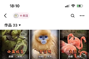 动物科普解说项目,撸创作者伙伴计划收益,保姆级实战教程