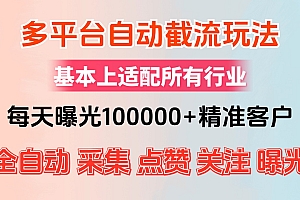 (12709期)小红书抖音视频号最新截流获客系统,全自动引流精准客户【日曝光10000+…
