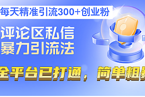 (12714期)评论区私信暴力引流法,每天精准引流300+创业粉,全平台已打通,简单粗暴