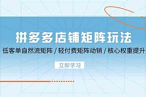 拼多多店铺矩阵玩法:低客单自然流矩阵 / 轻付费矩阵 动销 / 核心权重提升