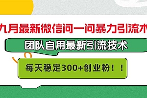 (12735期)九月最新微信问一问暴力引流术,团队自用引流术,每天稳定300+创…