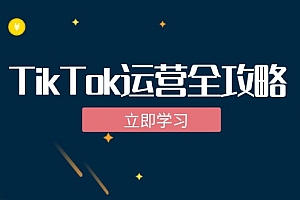 (12739期)TikTok实战运营全攻略:从下载软件到变现,抖音海外版实操教程