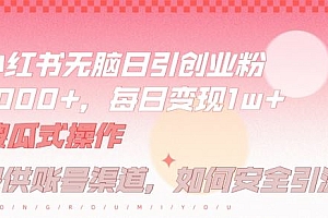 小红书无脑每日引流创业粉500+,小白每天只花半小时,躺赚长尾收益【揭秘】
