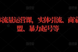 实体流量运营课,实体引流、商家加盟、暴力起号等