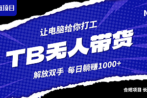 (12742期)淘宝无人直播最新玩法,不违规不封号,轻松月入3W+